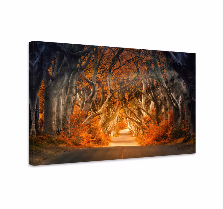 Cuadro paisajes sendero otoñal misterioso - TenVinilo