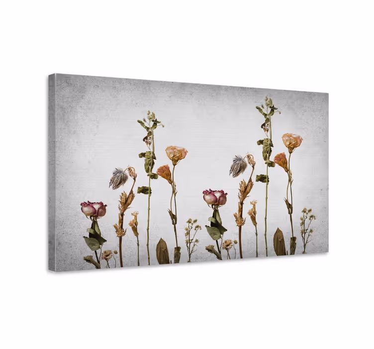 Cuadro plantas Plantas secas de estilo escandinavo - TenVinilo