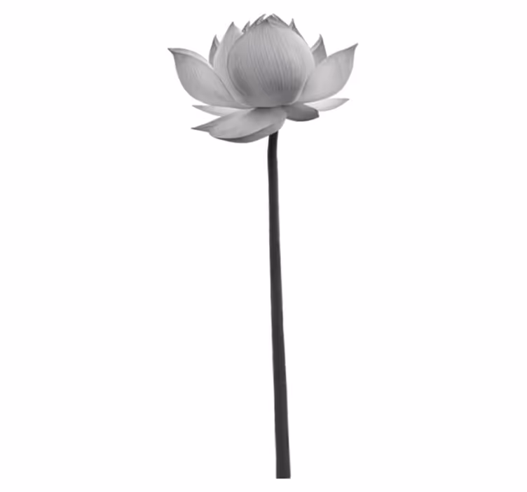 Alfombra vinílica dormitorio flor de loto solitaria - TenVinilo