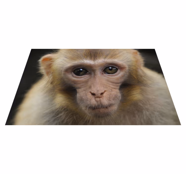 Alfombra vinílica animales cara de mono bebé - TenVinilo