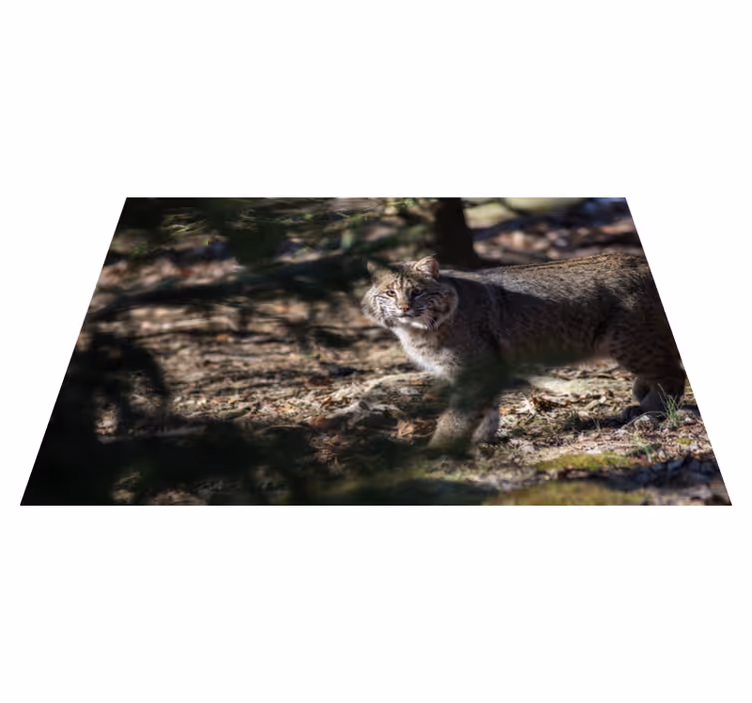 Alfombra vinílica animales escena de gato salvaje - TenVinilo