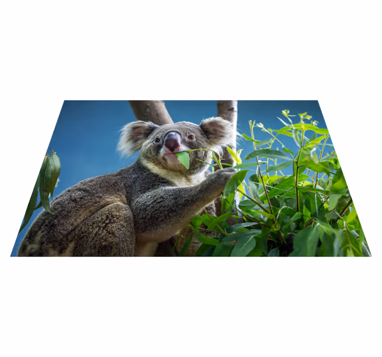 Alfombra vinílica animales imagen koala - TenVinilo