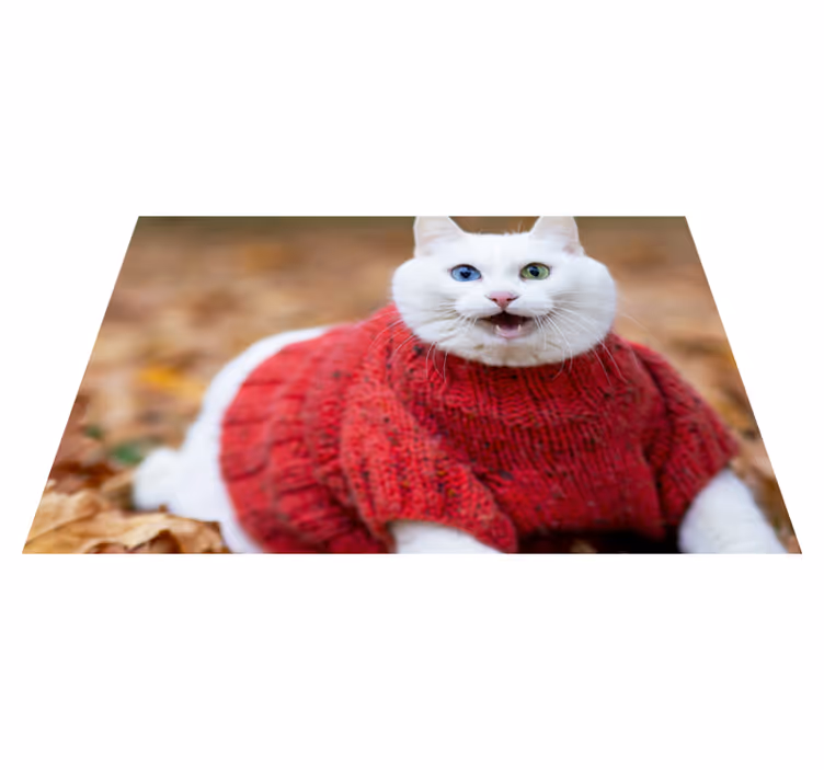 Aflombra vinílica animales Animal lindo gato sonriente - TenVinilo