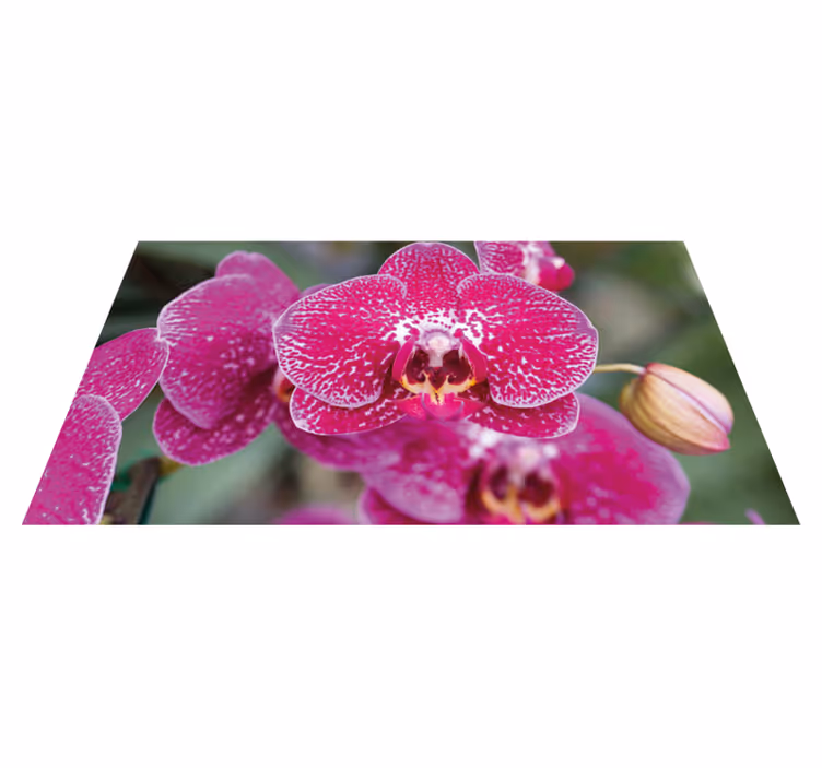 Alfombra vinílica flores radiantes flores de orquídeas - TenVinilo