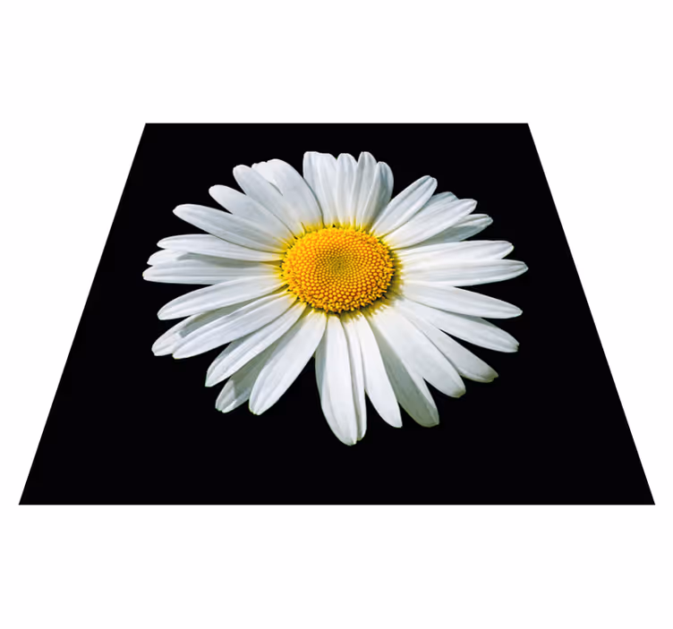 Alfombra vinílica dormitorio Flor de margarita blanco y negro - TenVinilo