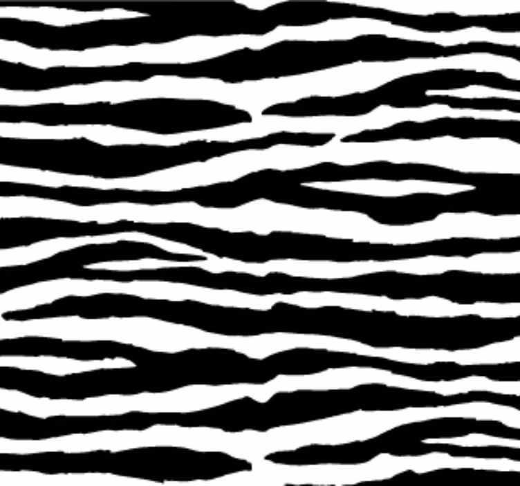 Papel tapiz animales rayas de cebra - TenVinilo