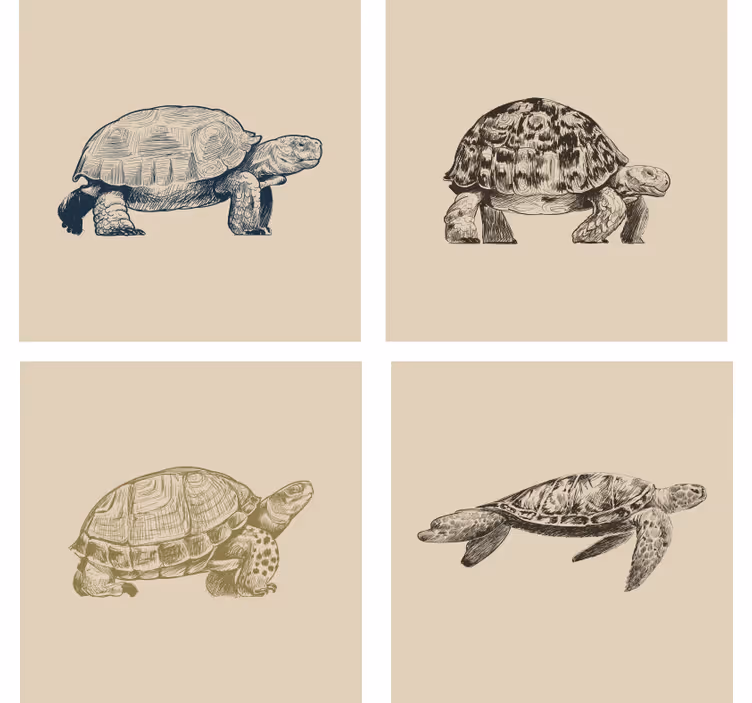 Papel tapiz vintage fondo beige con tortugas - TenVinilo