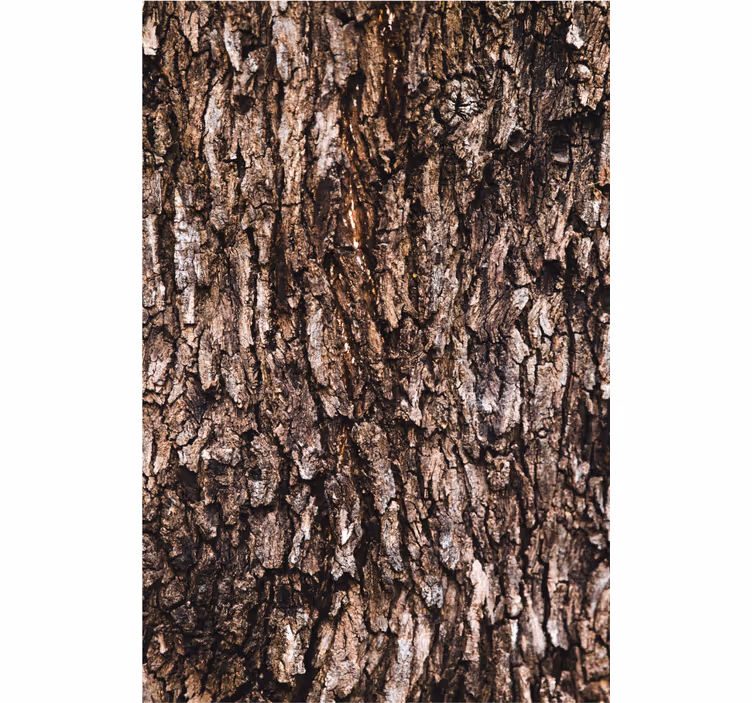 Papel tapiz recámara matrimonial corteza de árbol realista - TenVinilo