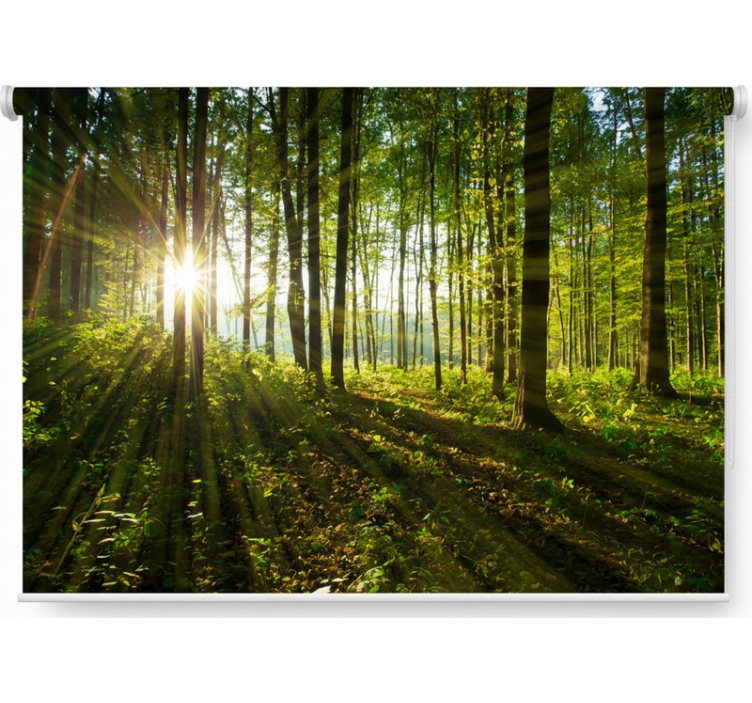 Persiana enrollable árboles bosques de sol dorado - TenVinilo