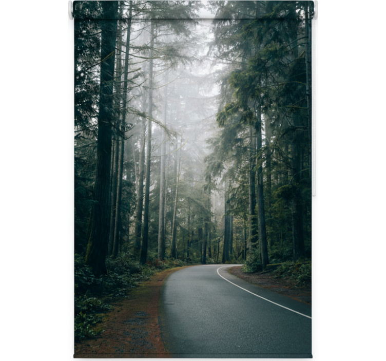 Persiana enrollable árboles camino de pinos nebulosos - TenVinilo