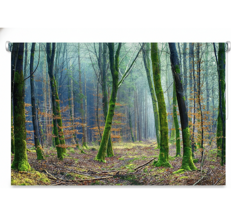 Persiana enrollable árboles bosque nublado japandi - TenVinilo