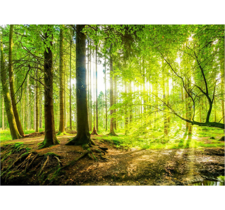 Persiana enrollable árboles valle montañoso lujoso - TenVinilo