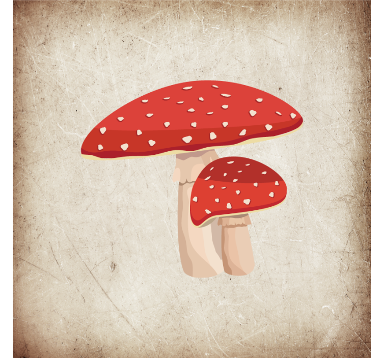 Persiana enrollable para cocina ilustración de seta - TenVinilo