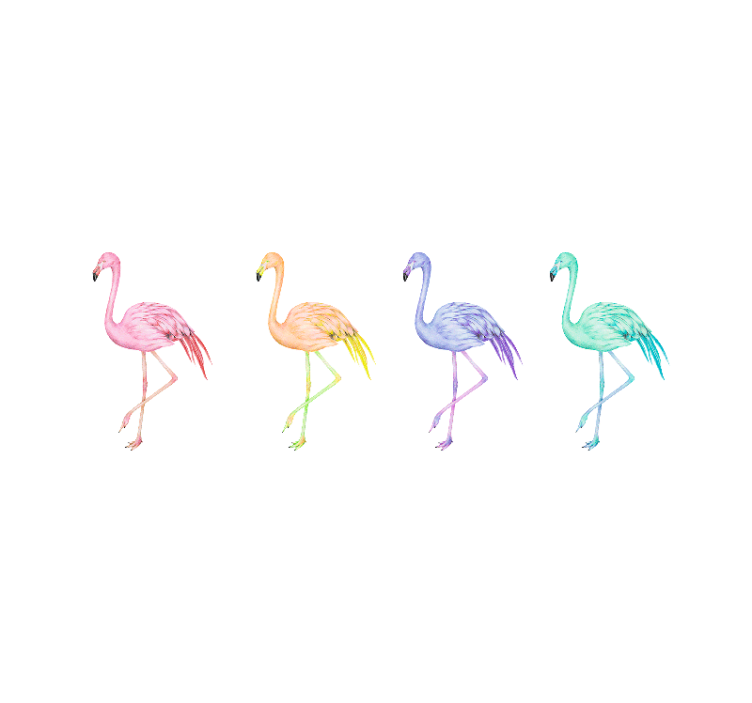 Persiana enrollable blanca flamencos coloridos sin costuras - TenVinilo