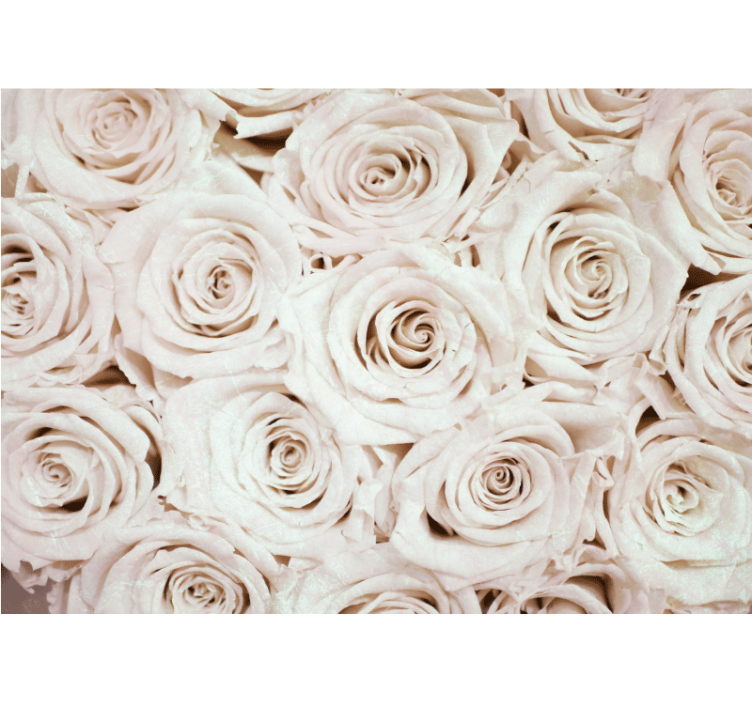 Persiana enrollable blanca diseño de flores rosas elegante - TenVinilo