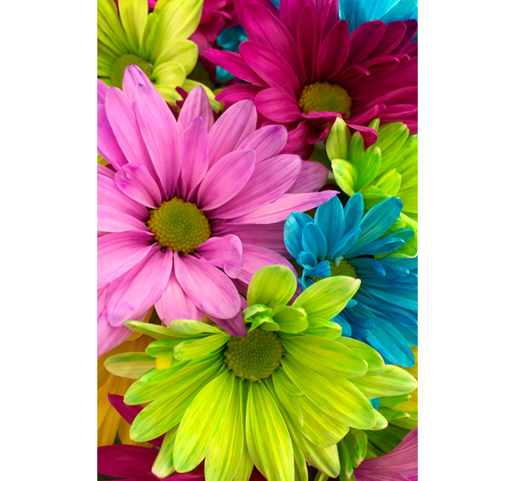 Persiana enrollable salón flores coloridas - TenVinilo