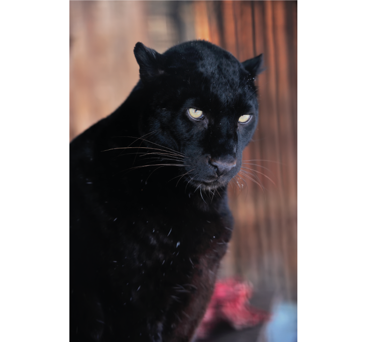 Persiana enrollable salón leopardo al acecho - TenVinilo