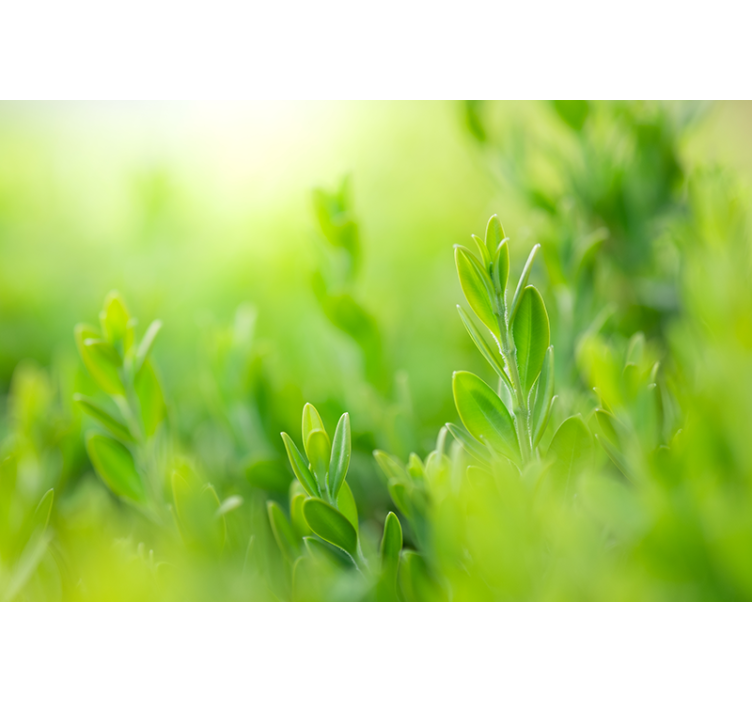 Persiana enrollable salón hojas verdes primavera - TenVinilo