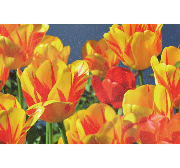 Persiana enrollable salón tulipanes rojos y amarillos - TenVinilo