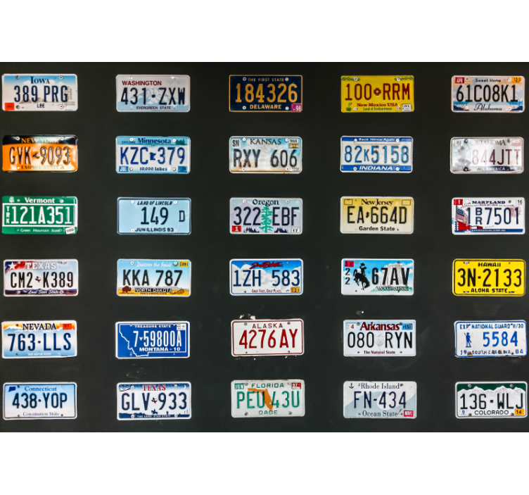 Persiana enrollable negra placas de matrícula - TenVinilo