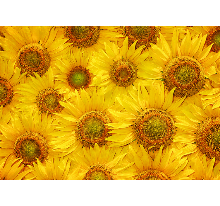 Persiana enrollable amarilla girasoles - TenVinilo