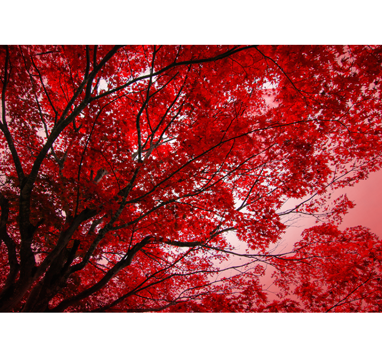Persiana enrollable roja ramas rojas - TenVinilo