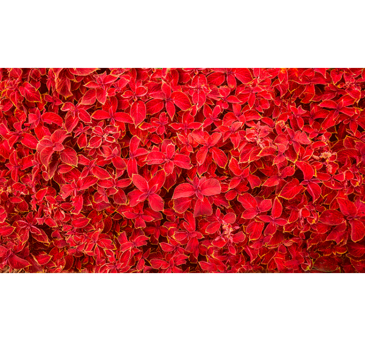 Persiana enrollable roja patrón de pétalos - TenVinilo