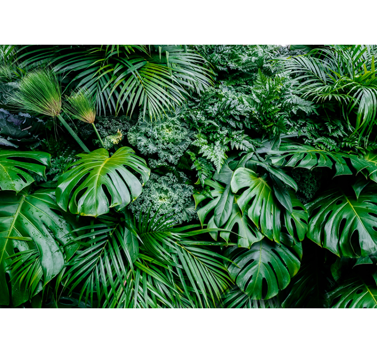 Persiana enrollable verde selva lluviosa - TenVinilo