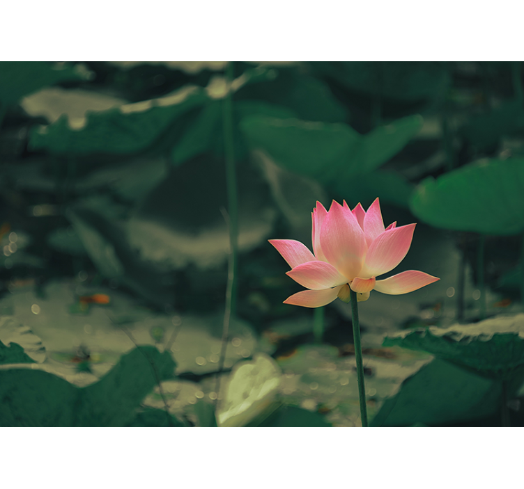 Persiana enrollable verde flor rosa - TenVinilo