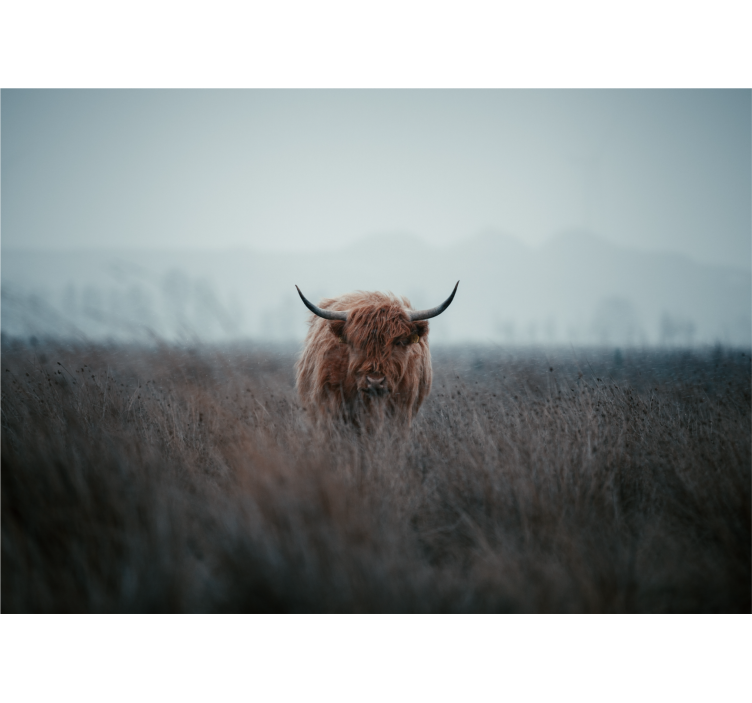 Persiana enrollable salón vaca de las highlands - TenVinilo