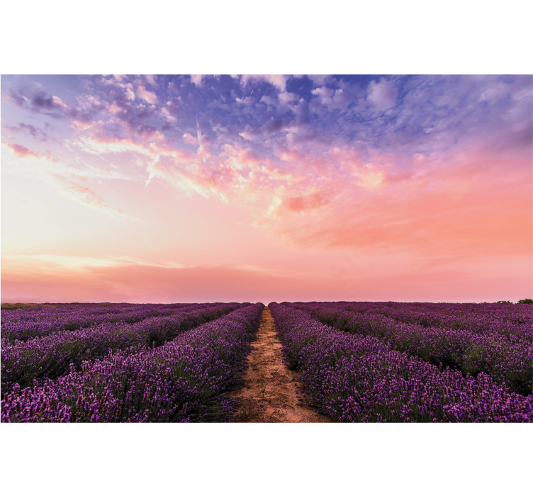 Persiana enrollable salón flores de lavanda en francia - TenVinilo