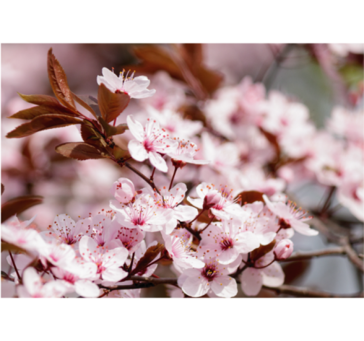 Persiana enrollable salón flores de cerezo - TenVinilo