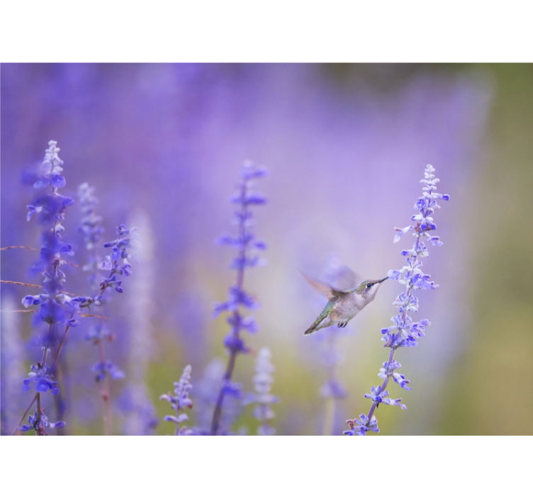 Persiana enrollable salón flores con pájaro - TenVinilo