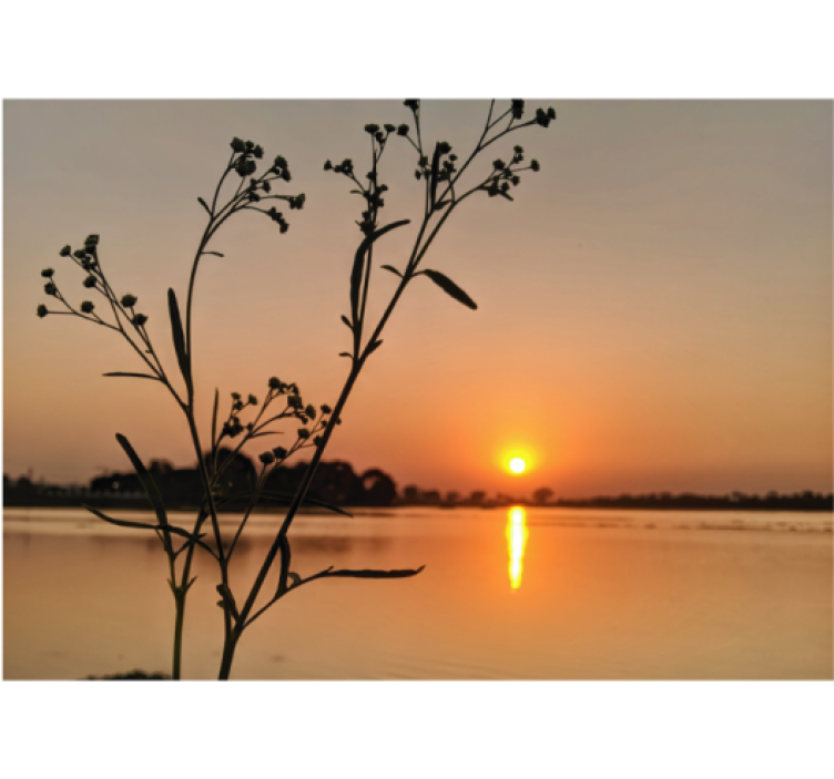 Persiana enrollable salón atardecer en el lago - TenVinilo
