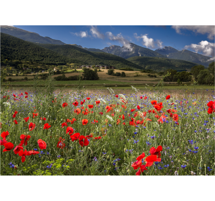 Persiana enrollable salón campo de flores silvestres - TenVinilo
