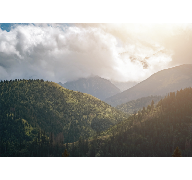 Persiana enrollable salón parque nacional de los tatras - TenVinilo