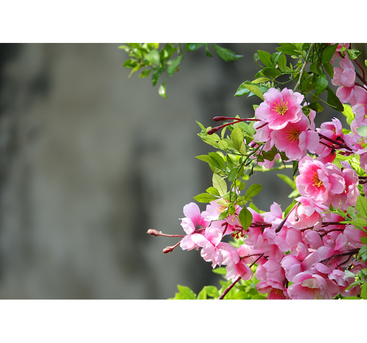 Persiana enrollable salón flores rosas 3d - TenVinilo