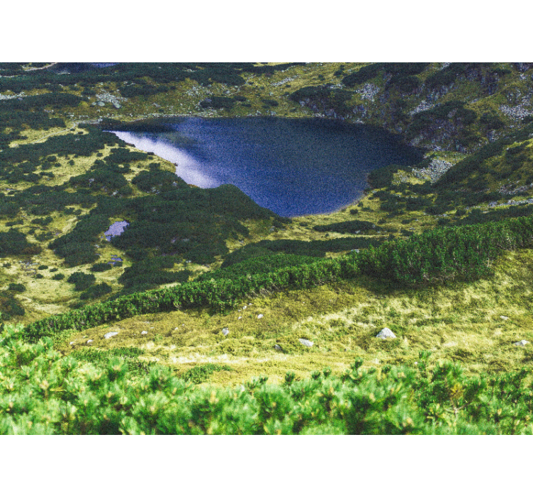Persiana enrollable salón verde tatras polacos - TenVinilo