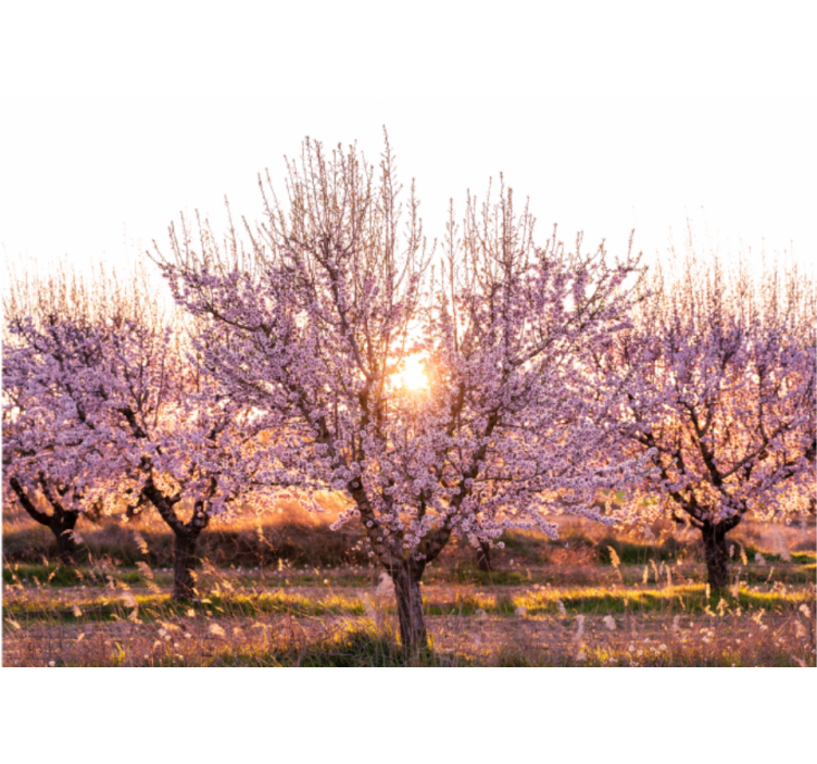 Persiana enrollable salón paisaje rosa con flores - TenVinilo