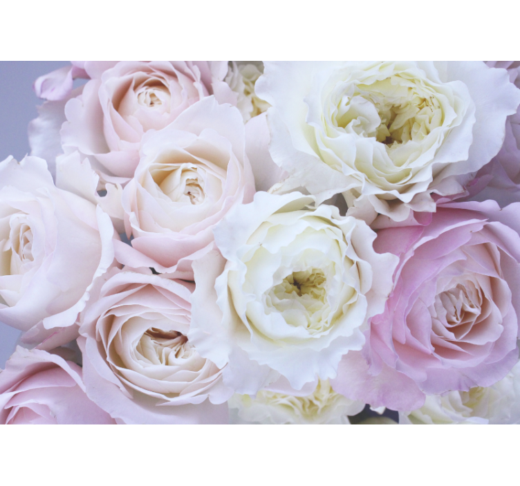 Persiana enrollable salón diferentes rosas de cerca - TenVinilo
