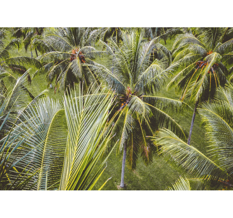 Persiana enrollable salón paisaje de selva con palmeras - TenVinilo