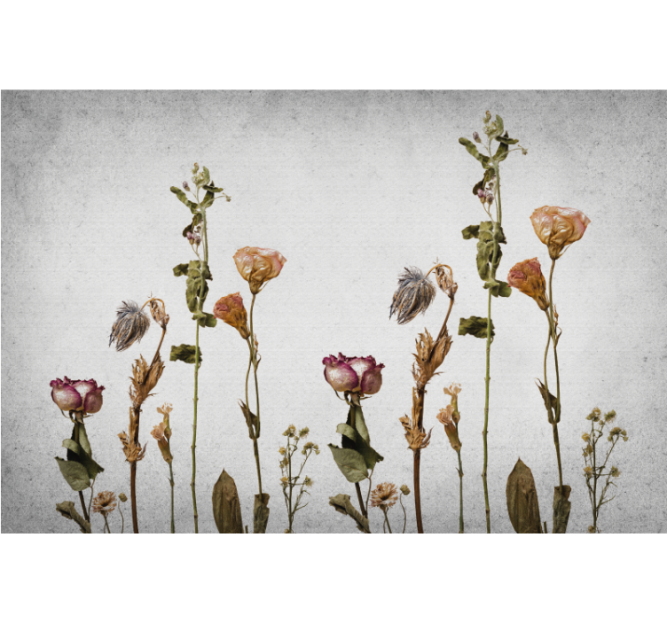 Persiana enrollable salón plantas secas estilo escandinavo - TenVinilo