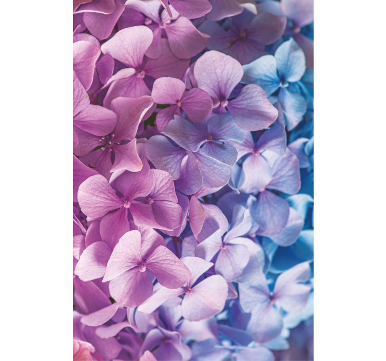 Persiana enrollable flores racimo de pétalos de hortensia - TenVinilo