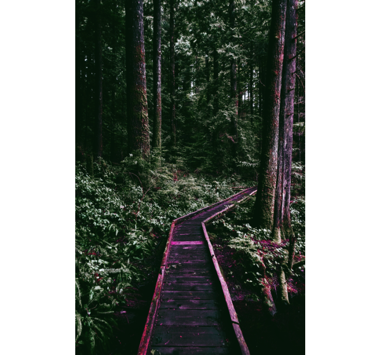 Persiana enrollable árboles sendero forestal - TenVinilo