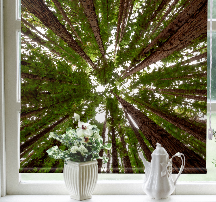 Persiana enrollable árboles diseño de dosel alto - TenVinilo
