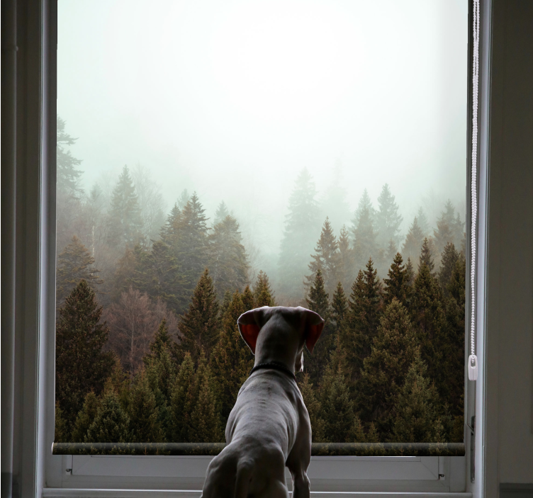 Persiana enrollable árboles vista del bosque brumoso - TenVinilo