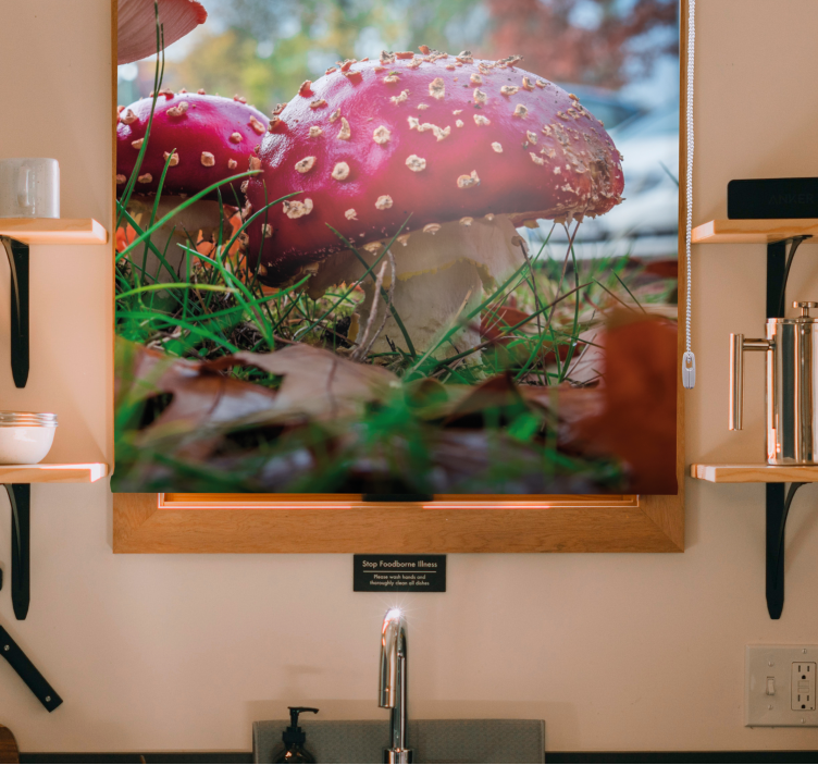 Persiana enrollable flores hongos rojos vibrantes - TenVinilo