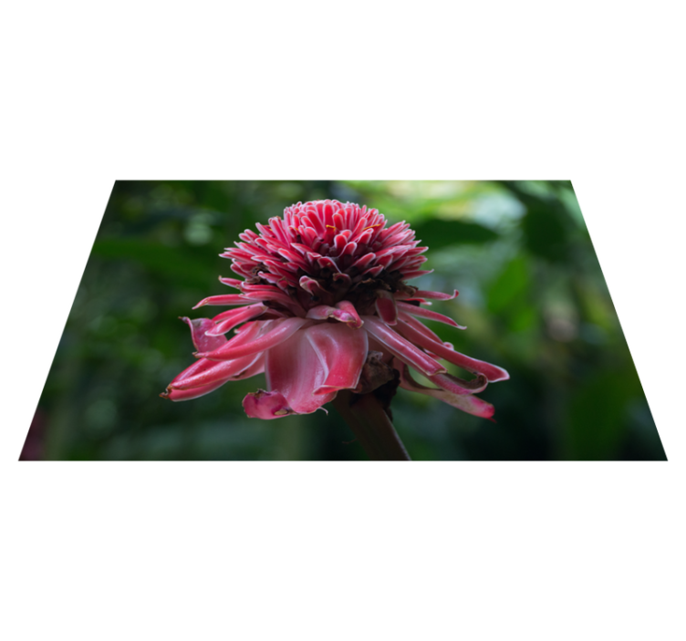 Individual mesa original arreglo floral tropical - TenVinilo