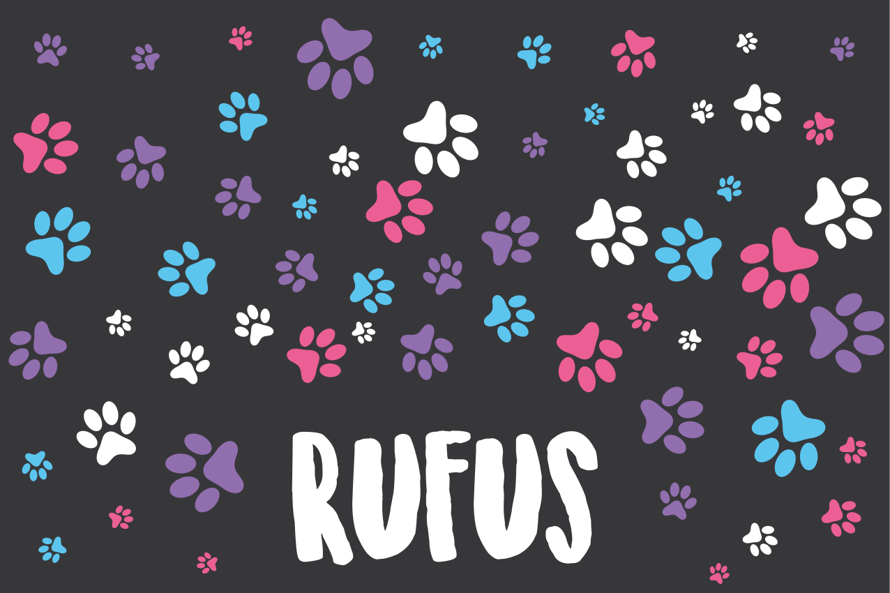 Individual mesa infantil huellas de patas coloridas - TenVinilo