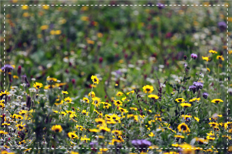 Mantel individual moderno Colorida temporada de primavera - TenVinilo